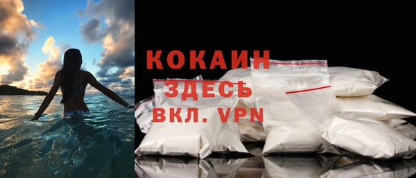 PSILOCYBIN Майский