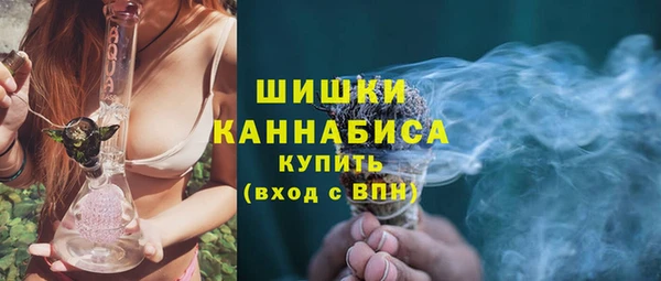PSILOCYBIN Майский