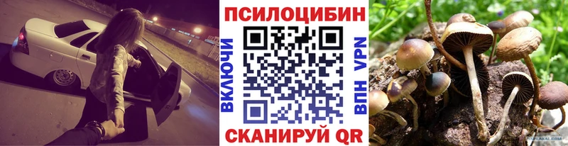 Галлюциногенные грибы мицелий  Карабаш 
