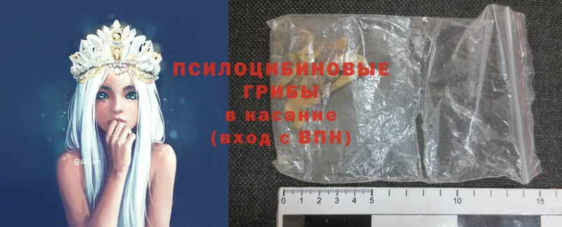 darknet клад  Карабаш  Псилоцибиновые грибы GOLDEN TEACHER 